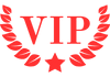 VIP Transfer